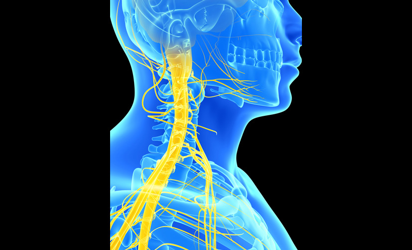 Nerve-Compression-Syndromes-1