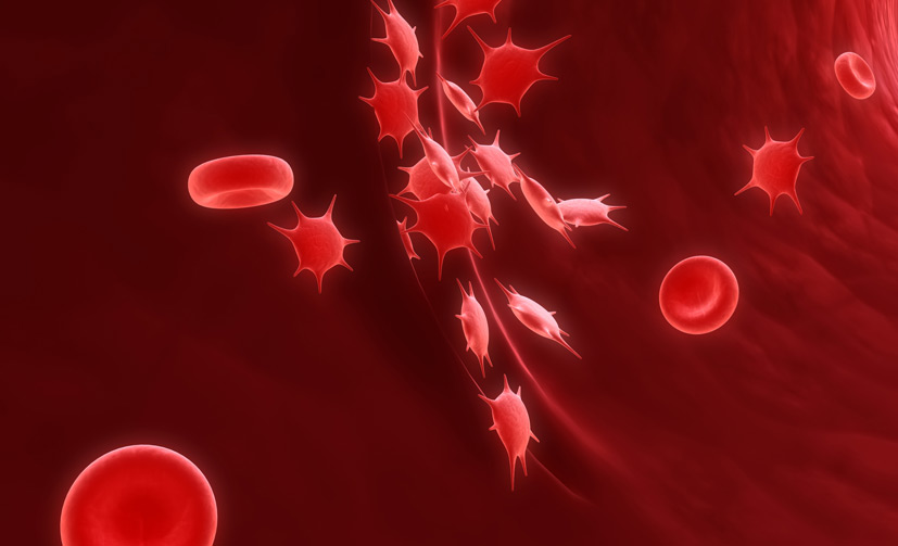 Platelet-Rich-Plasma-2