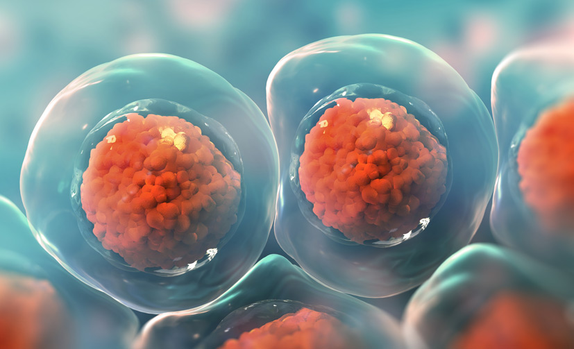 Stem-Cell-Therapy-2